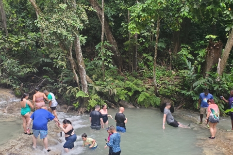 De Montego Bay: expérience des chutes de la rivière Dunn