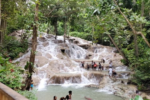 Von Montego Bay aus: Erlebnis Dunn's River Falls