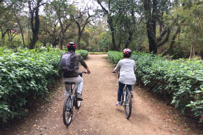 São Paulo: cykeltur med gatukonst