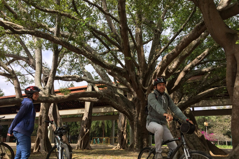 São Paulo: cykeltur med gatukonst