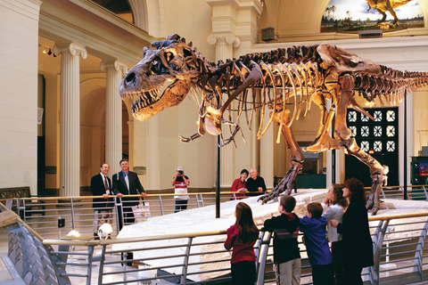 Chicago : Museo Field Visita guiada de 2 horas sin colasChicago : Museo Field Skip the Line 2H Visita Guiada Privada