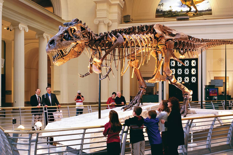 Chicago : Museo Field Visita guiada de 2 horas sin colasChicago : Museo Field Skip the Line 2H Visita Guiada Privada