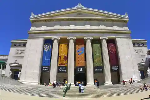 Chicago : The Field Museum Skip the Line 2H Guided Tour