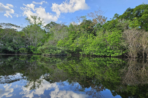 Manaus Amazon Kabanas Jungle Survival Tour 7 dagar &amp; 6 kvällar