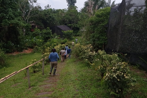 Iquitos: 2-Day San Rafael Sustainable Rainforest Tour