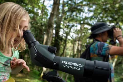 San Jose: Walking Nature Tour with Sloths, Birds, and Trees