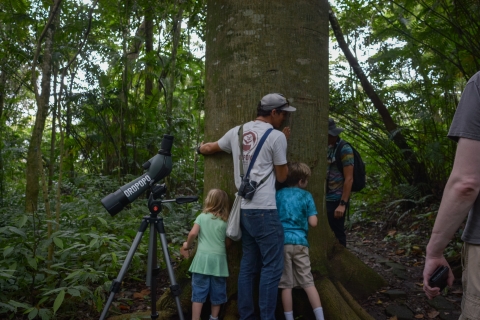 San José: Natur-Rundgang mit Biologen zu FaultierenPrivate Tour