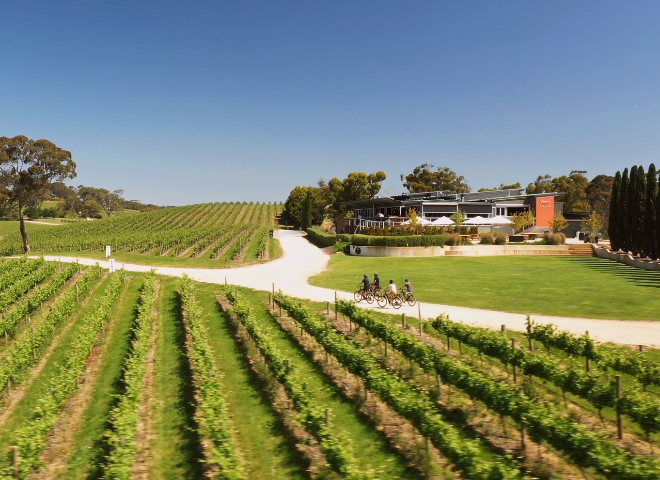 Hahndorf: Gourmet Food & Wine E-Bike Tour