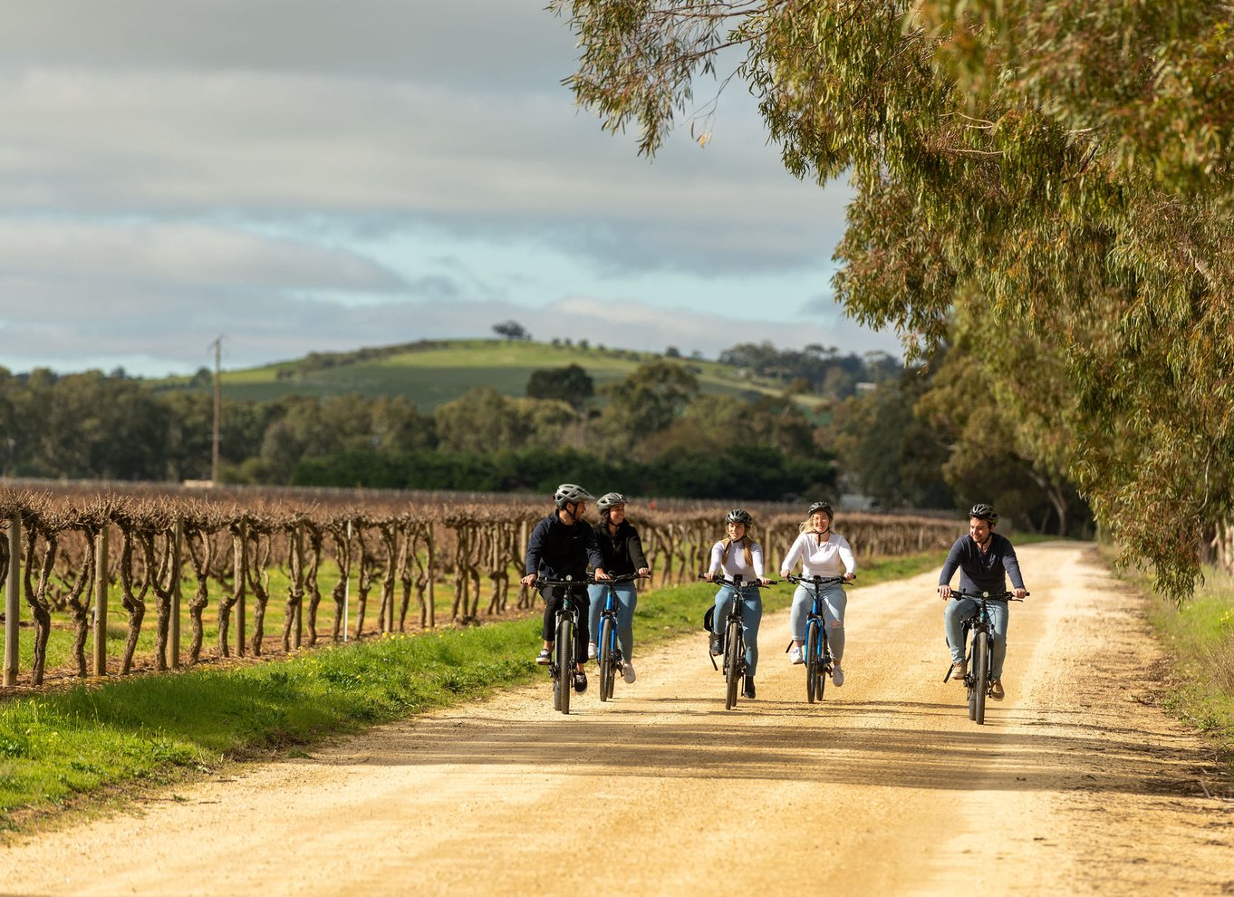 Hahndorf: Gourmet Food & Wine E-Bike Tour