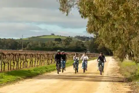 Hahndorf: Gourmet Food & Wine E-Bike Tour