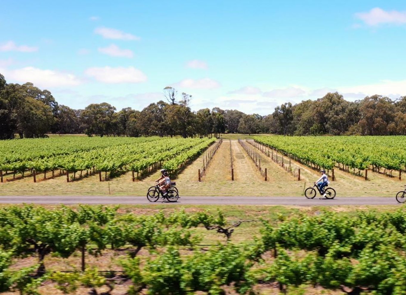Hahndorf: Gourmet Food & Wine E-Bike Tour