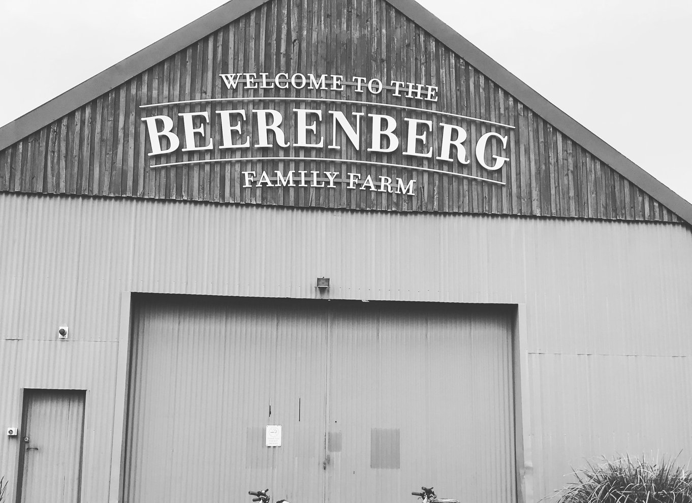 Hahndorf: Gourmet Food & Wine E-Bike Tour