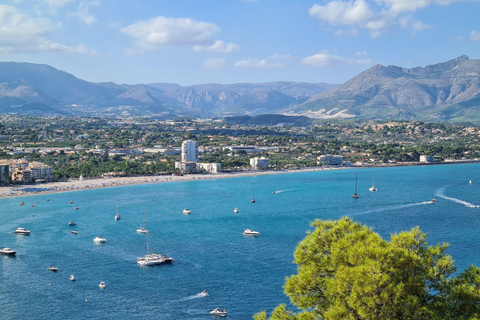 Alicante : visite guidée privée à pied