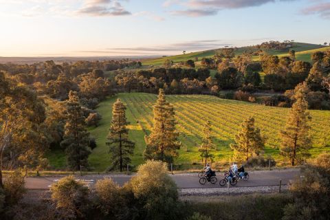 Barossa Valley: Gourmet Food and Wine E-Bike Tour