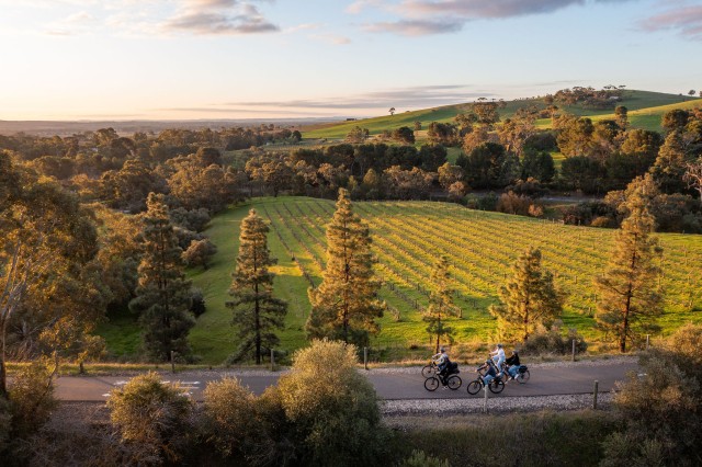 Visit Barossa Valley Gourmet Food and Wine E-Bike Tour in Barossa Valley