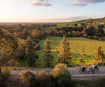 Valle de Barossa: Excursión en bicicleta eléctrica por la comida y el vino gourmet