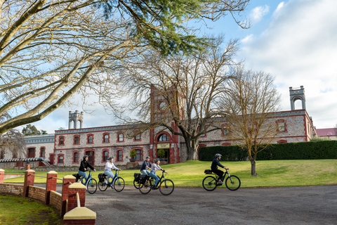 Dolina Barossa: E-Bike Tour dla smakoszy i winaDolina Barossa: wycieczka e-rowerem dla smakoszy i wina