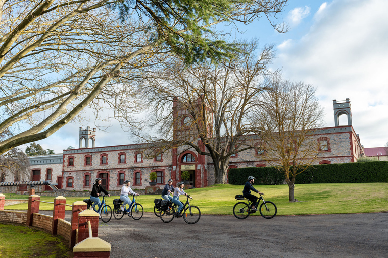 Barossa Valley : Circuit en E-Bike sur le thème de la gastronomie et du vinVallée de la Barossa : Excursion en E-Bike pour déguster des mets et des vins de qualité