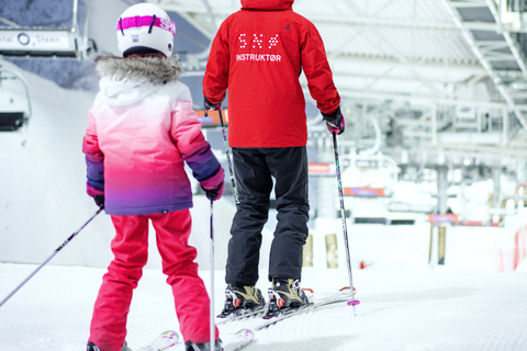 Oslo: Pase de un día para esquí alpino en SNØ Ski Dome