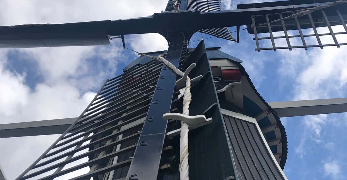 Afbeelding 10 van Haarlem: Rondleiding Molen 'De Adriaan'