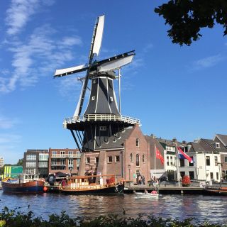 Haarlem: visita guiada al molino de viento De Adriaan