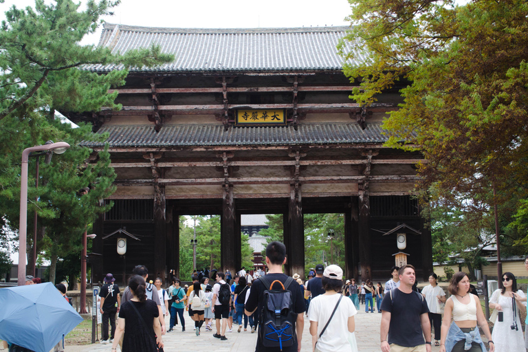 Nara: Private Walking Tour