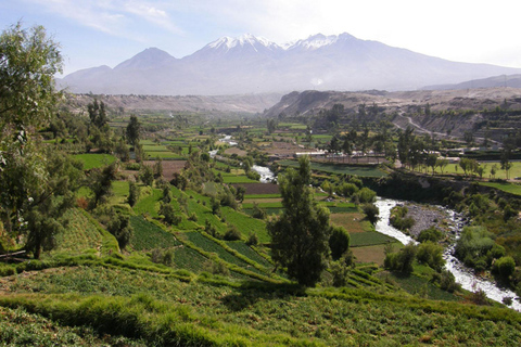 Arequipa Panoramic Bus TourAfternoon: Panoramic Bus Tour