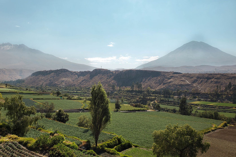 Arequipa: panoramische bustour in de middagPanoramische bustour in de middag