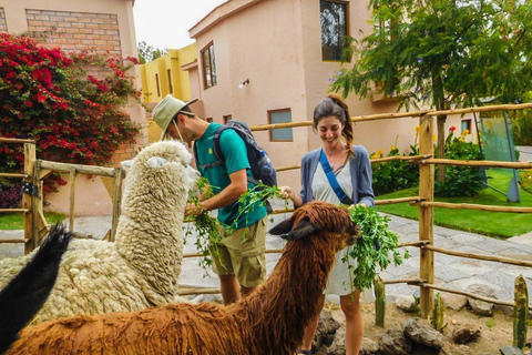 Arequipa: visite panoramique en bus de l'après-midiVisite panoramique en bus de l'après-midi