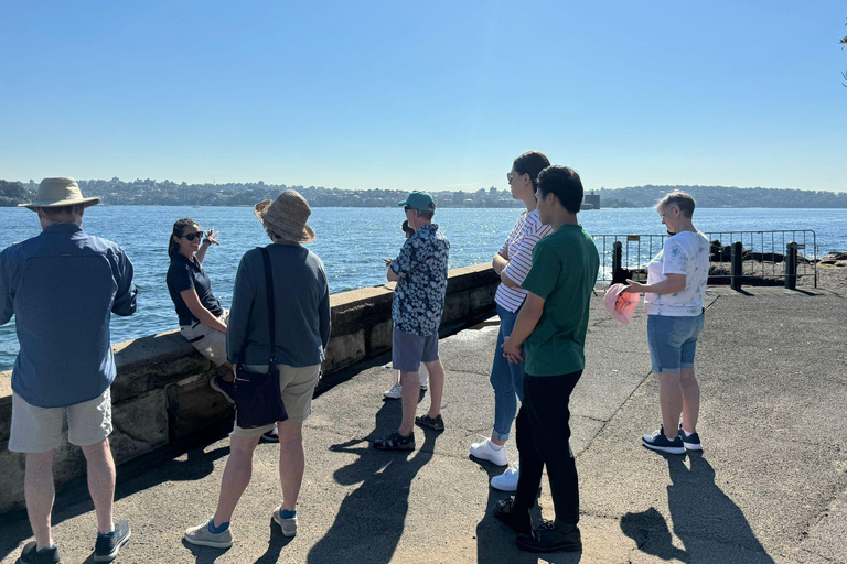 Excursión de 1/2 día por Sídney y Bondi Beach