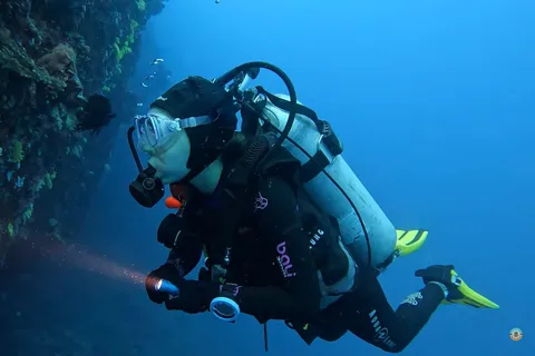Moalboal : Immersione con sardine e caccia alle tartarughe