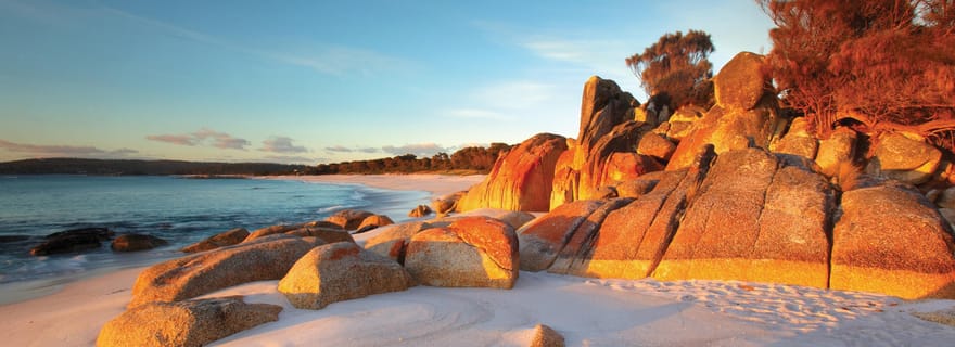 Au départ de Launceston : Randonnée dans la baie des incendies - 4 jours