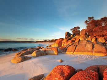 From Launceston: Bay of Fires Hiking Tour - 4 Days