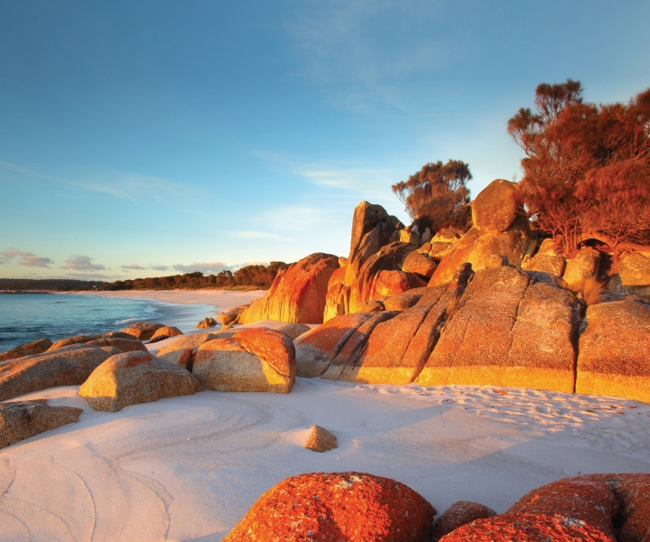 From Launceston: Bay of Fires Hiking Tour - 4 Days