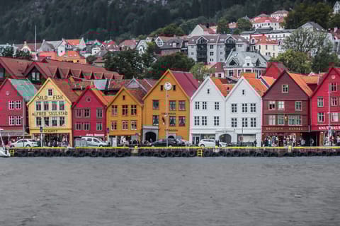 Bergen: Historic Walking Tour and Bryggens Museum Ticket