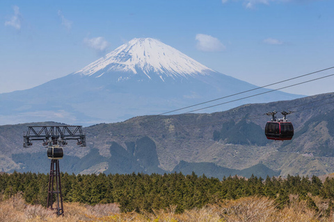 De Tokyo: excursion privée d'une journée à Hakone et Owakudani