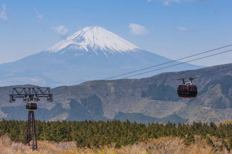 Z Tokio: prywatna wycieczka do Hakone i Owakudani