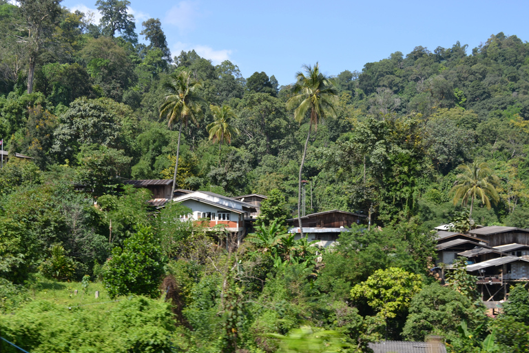 From Chiang Mai: Mae Taeng Valley Hike & Bike Day Trip