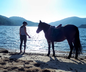 Gerês Braga: Horseback Ride in Peneda Gerês National Park