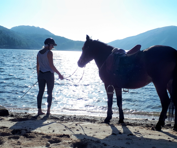 Gerês Braga: Horseback Ride in Peneda Gerês National Park