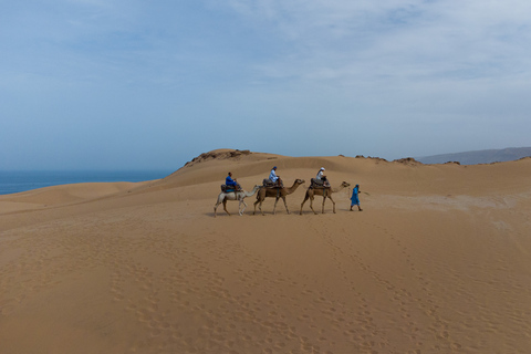 Agadir of Taghazout: Kameelrit in woestijnzandduinenAgadir of Taghazout: Sahara-ervaring in de woestijn met diner