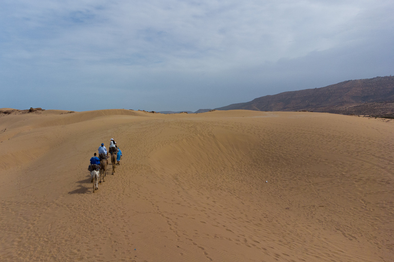 Agadir of Taghazout: Kameelrit in woestijnzandduinenAgadir of Taghazout: Sahara-ervaring in de woestijn met diner