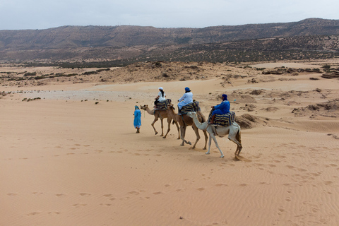 Agadir: 2-stündiger Eselsritt