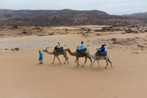 Agadir: 2-stündiger Eselsritt