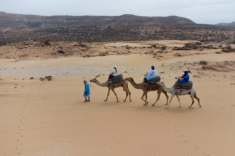 Agadir of Taghazout: Kameelrit in woestijnzandduinenAgadir of Taghazout: Sahara-ervaring in de woestijn met diner