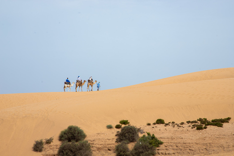 Agadir: 2-stündiger Eselsritt