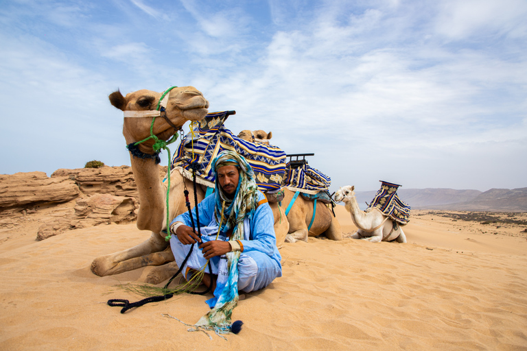 Agadir: 2-stündiger Eselsritt