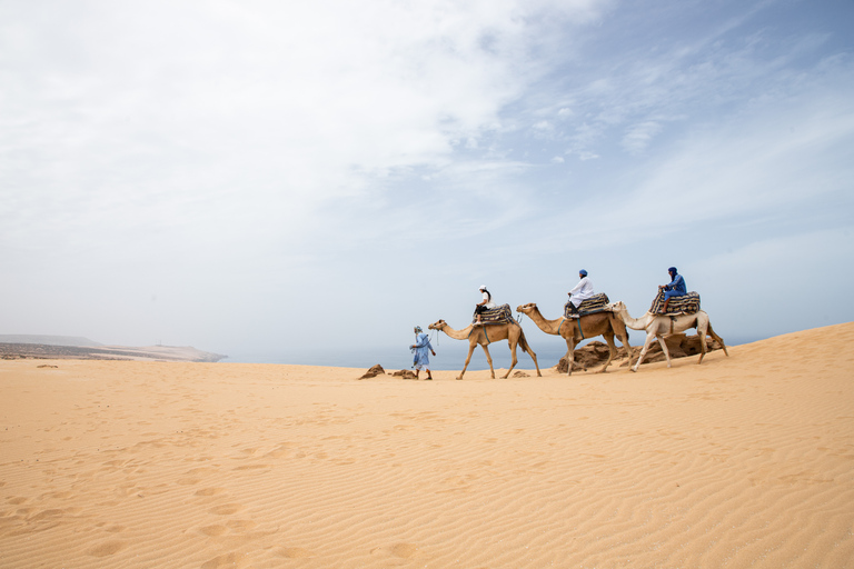 Agadir of Taghazout: Kameelrit in woestijnzandduinenAgadir of Taghazout: Sahara-ervaring in de woestijn met diner