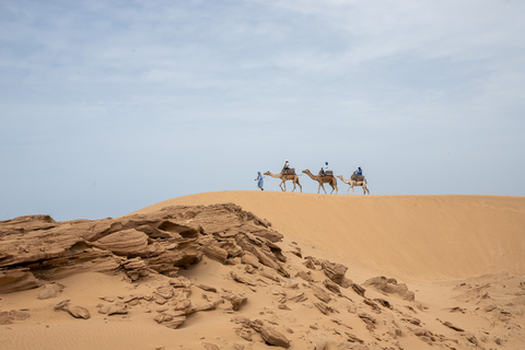 Agadir: 2-stündiger Eselsritt