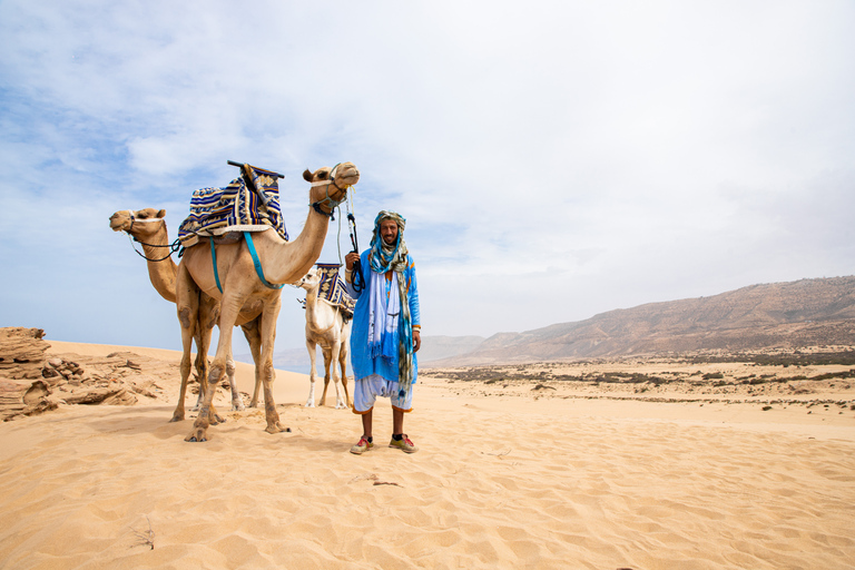 Agadir: 2-stündiger Eselsritt